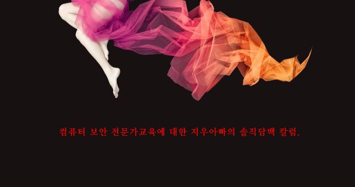 %C4%C4%C7%BB%C5%CD%BA%B8%BE%C8%C0%FC%B9%AE%B0%A1.jpg?type=w1