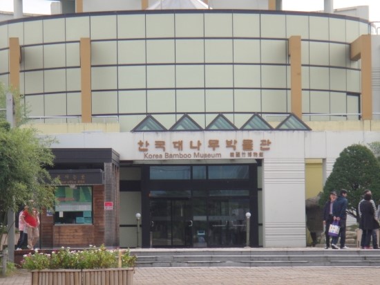 한국대나무 이미지