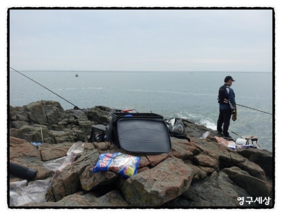 %C6%C4%BF%F6%BB%E7%C1%F8_%B0%BB%C0%CC.jpg?type=w3