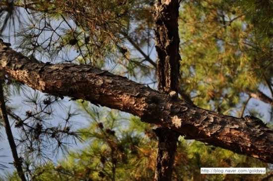 DSC_0292.JPG?type=w3