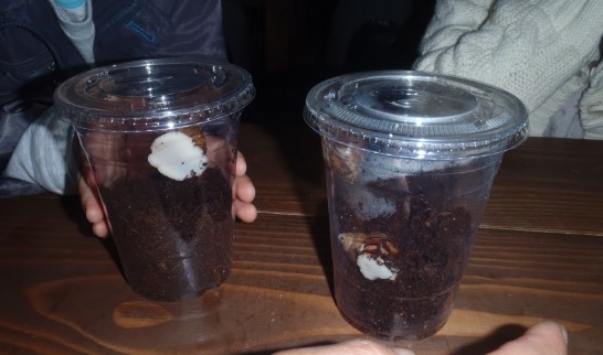 PA280289.JPG?type=w3