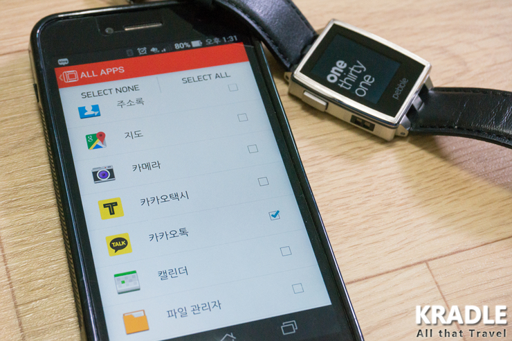 pebble steel 401s