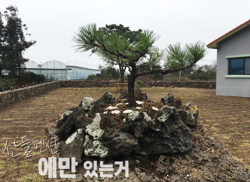 산들펜션 이미지