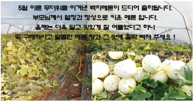 연자연 이미지