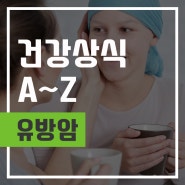 섬네일