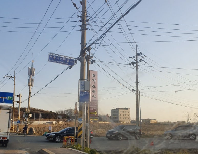 코기조은집 이미지