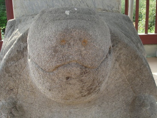 result_2008_4_3_18_36_55_875_12-tklim1.jpg?type=w3