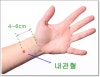 내관혈의 위치와 효능, 혈성(穴性) : 네이버 블로그